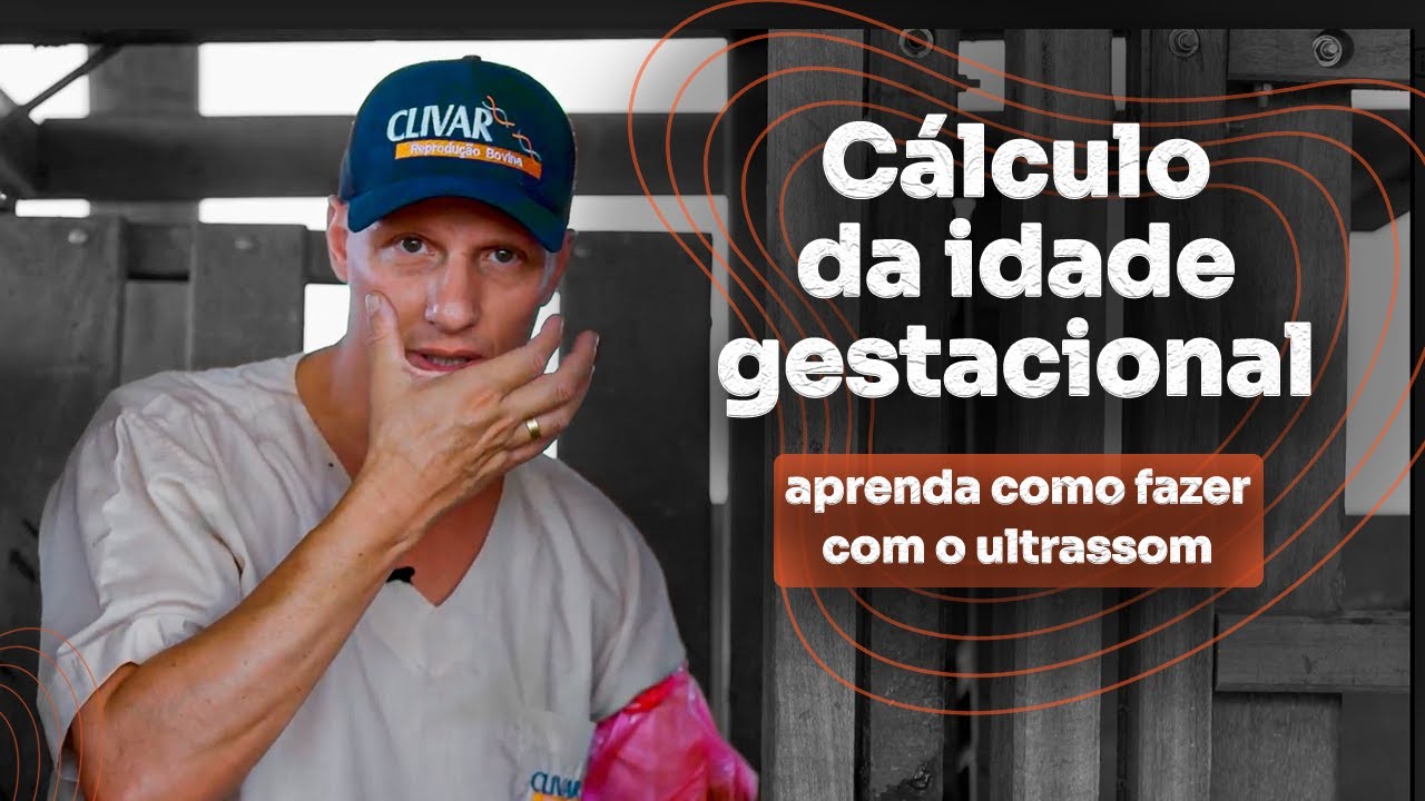 Cálculo da idade gestacional, aprenda como fazer com o ultra-som!