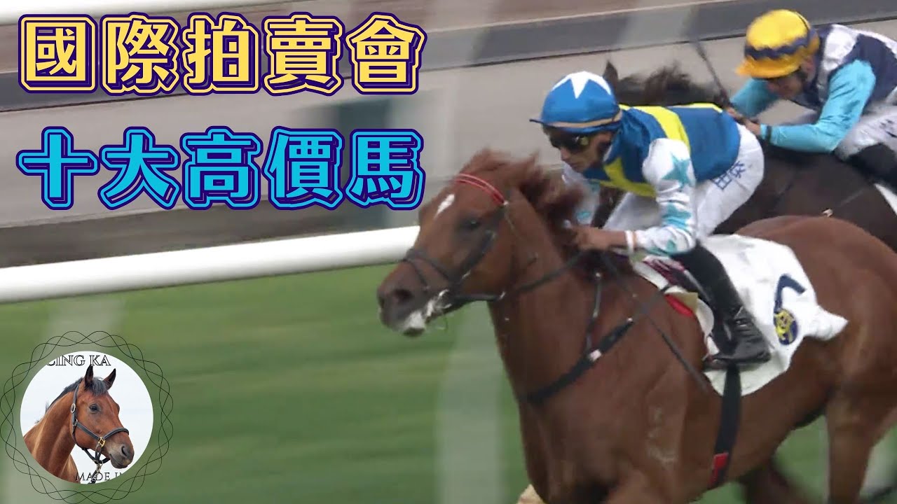 香港賽馬拍賣會歷年十大最高身價拍賣馬！