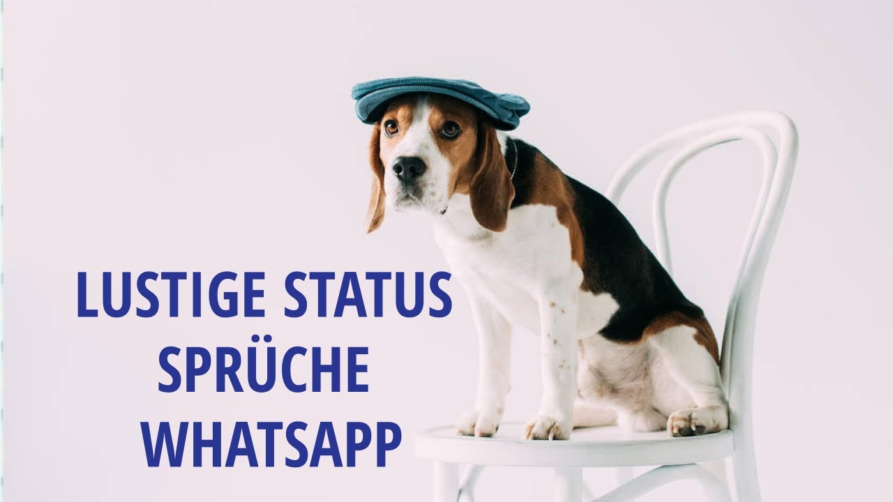 Lustige  Whatsapp Status Spr&uuml;che Coole Spr&uuml;che