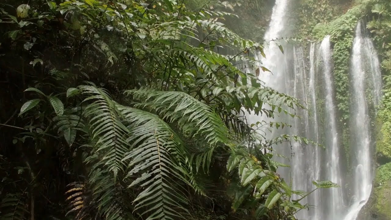 Moena - L'incanto della Foresta