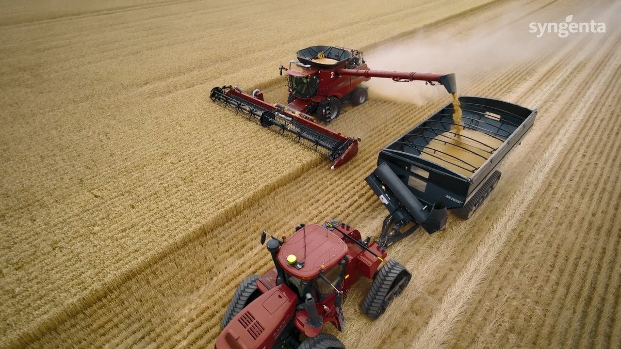 Wheat grower reveals 'I have to give VICTRATO® the credit'