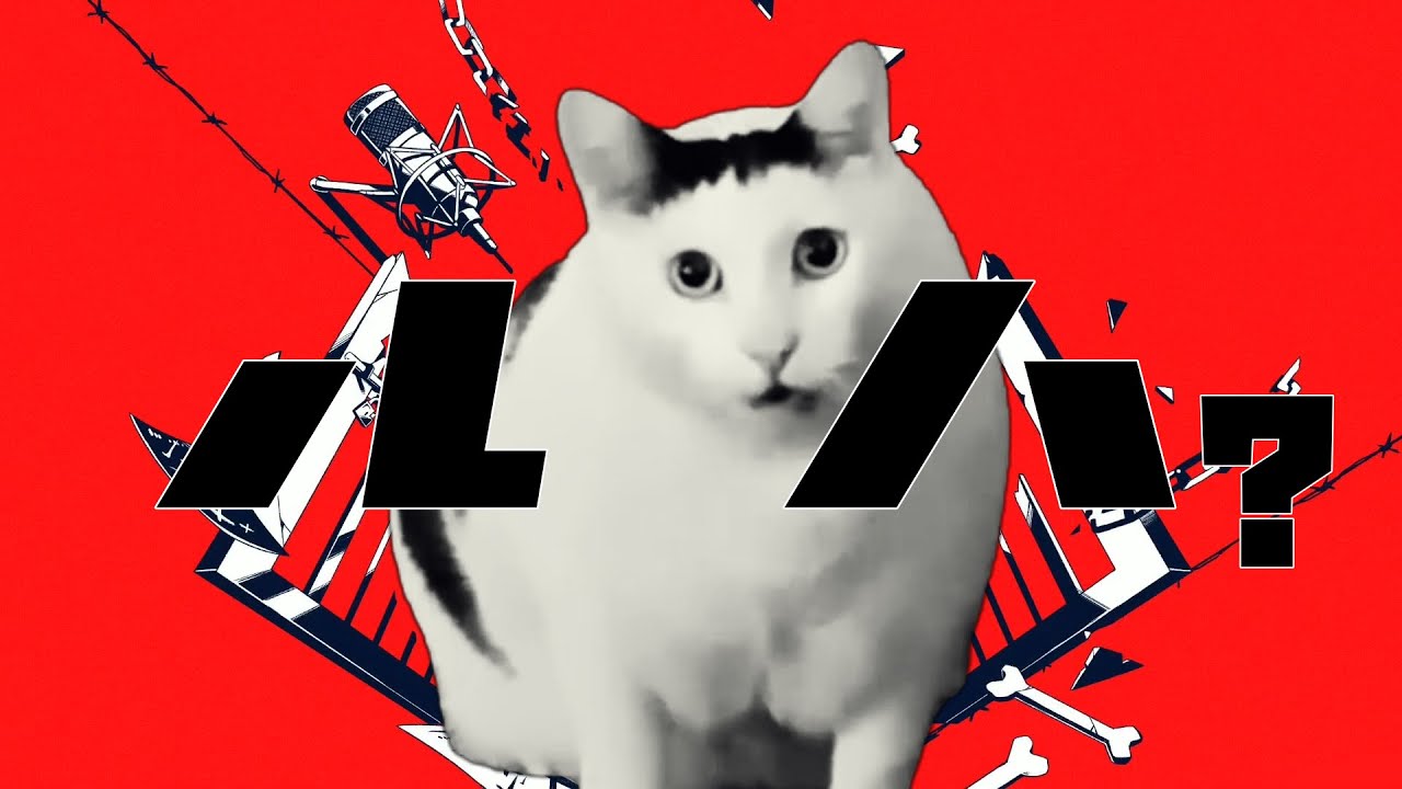 【音MAD】ルは？/猫ミーム