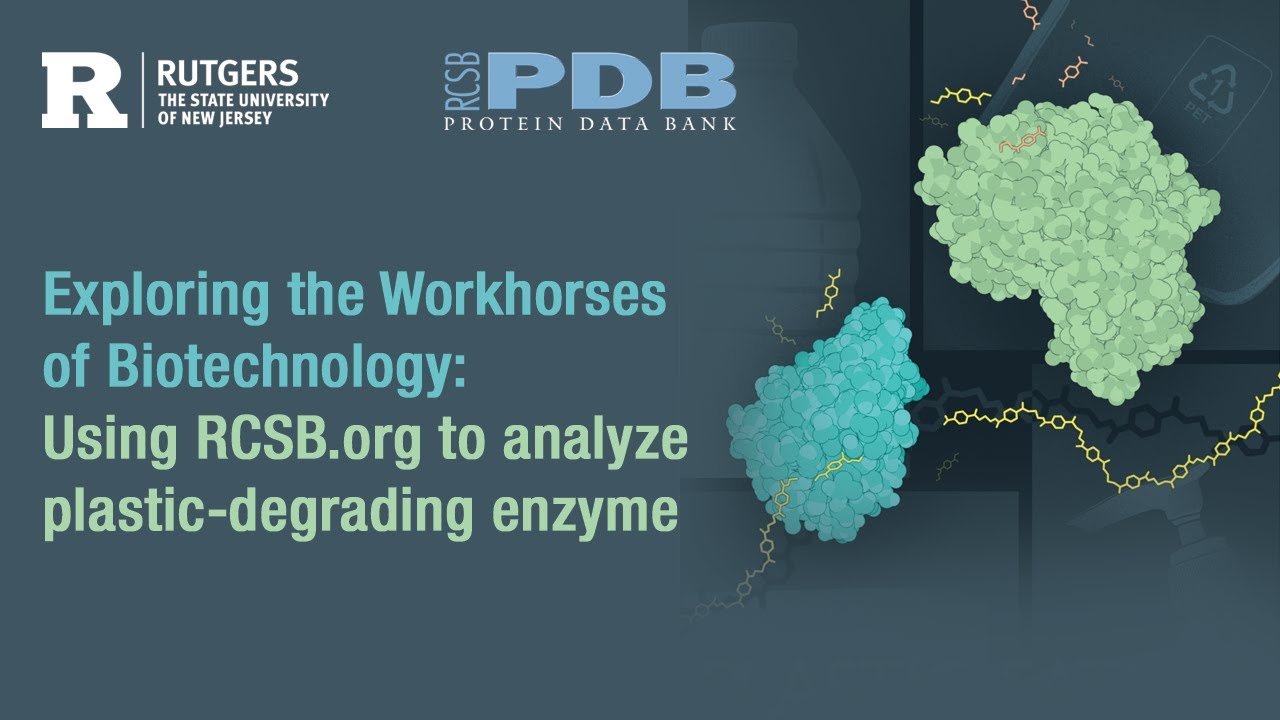 Exploring the Workhorses of Biotechnology: Using RCSB.org to analyze plastic-degrading enzyme