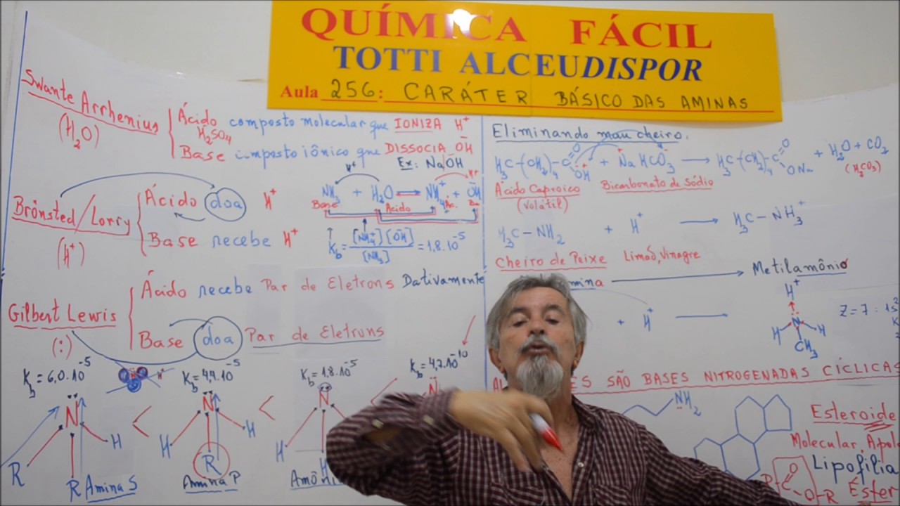 Aula 256.4 - ALCALÓIDES