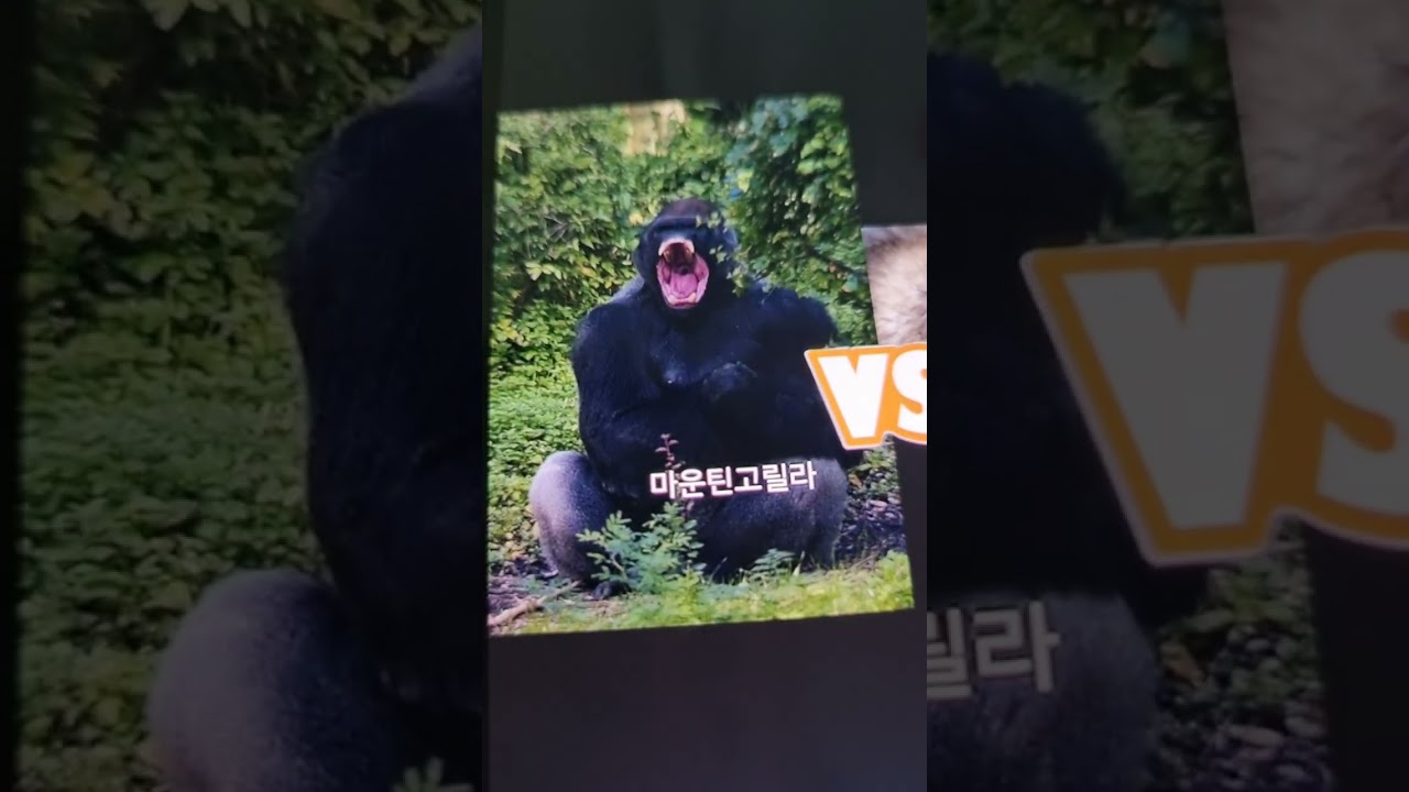 2026년 2월 11일