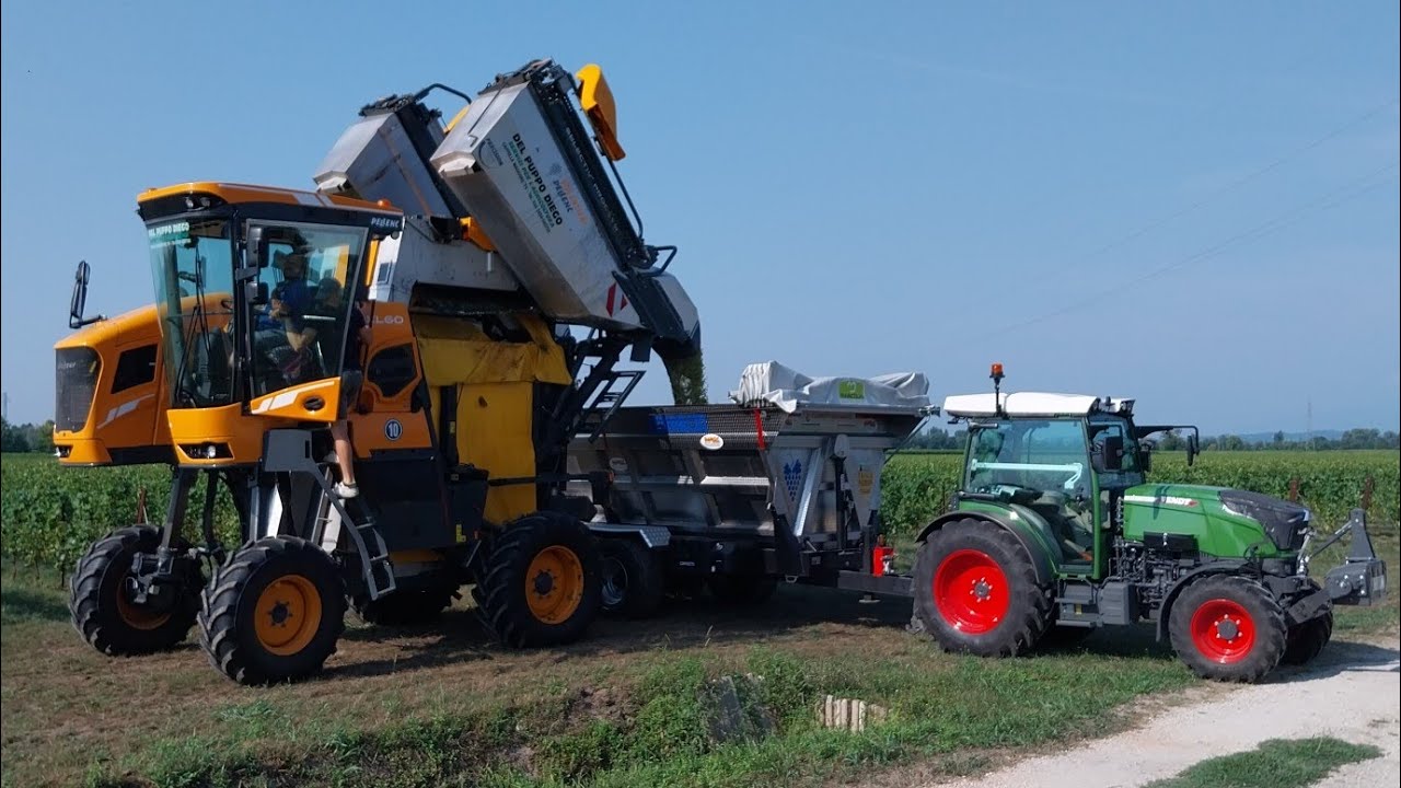 VENDEMMIA CHARDONNAY: VOLENTIERI PELLENC OPTIMUM XL60 (×2) | FENDT 210P - 210 | CAPRIOTTI