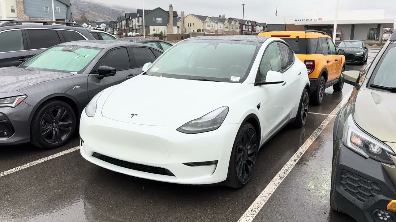 2022 Tesla Model Y Performance #487945