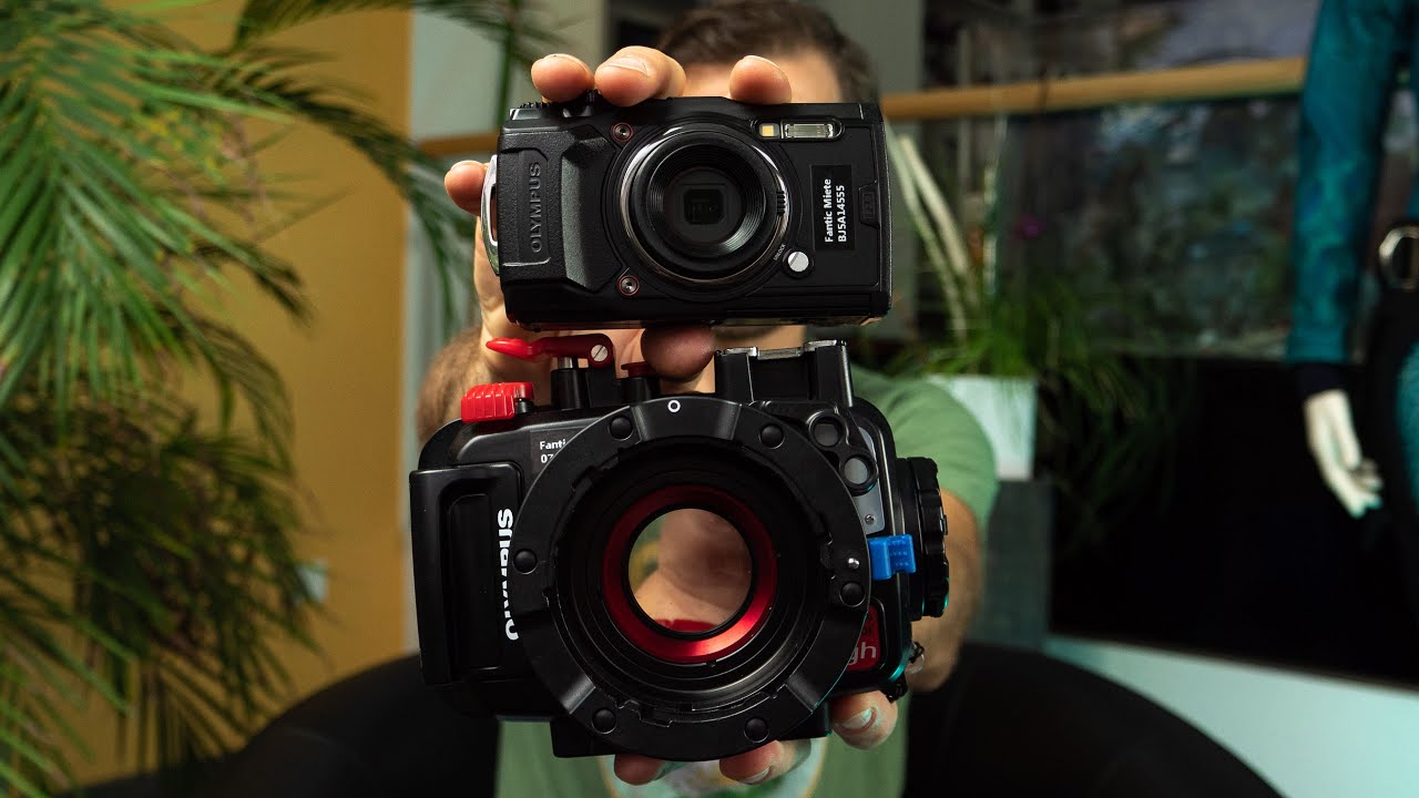 OLYMPUS TG6 REVIEW ⎜ Good for filming underwater?!