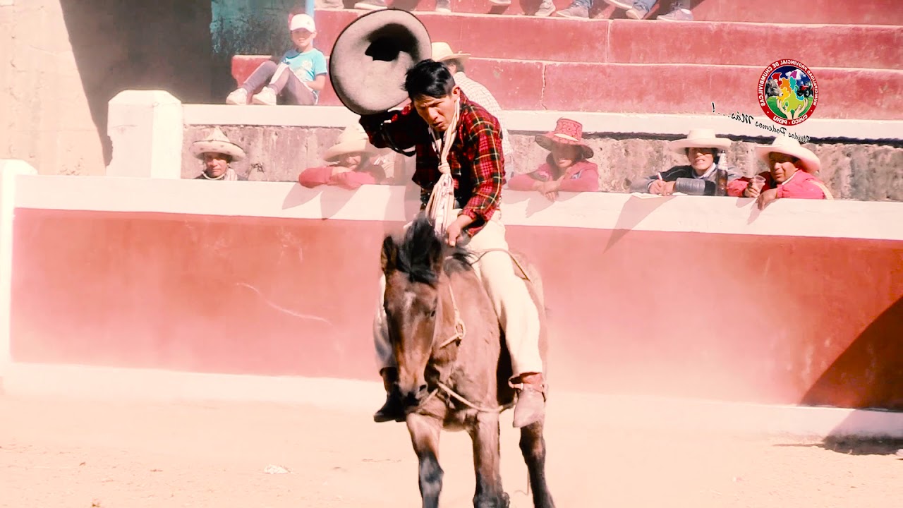Doma de Potros 2018