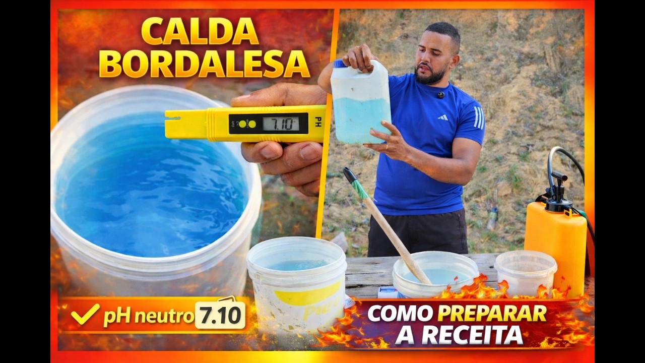 Calda Bordalesa Simples e Fácil | Aprenda o pH Certo e Proteja Suas Plantas