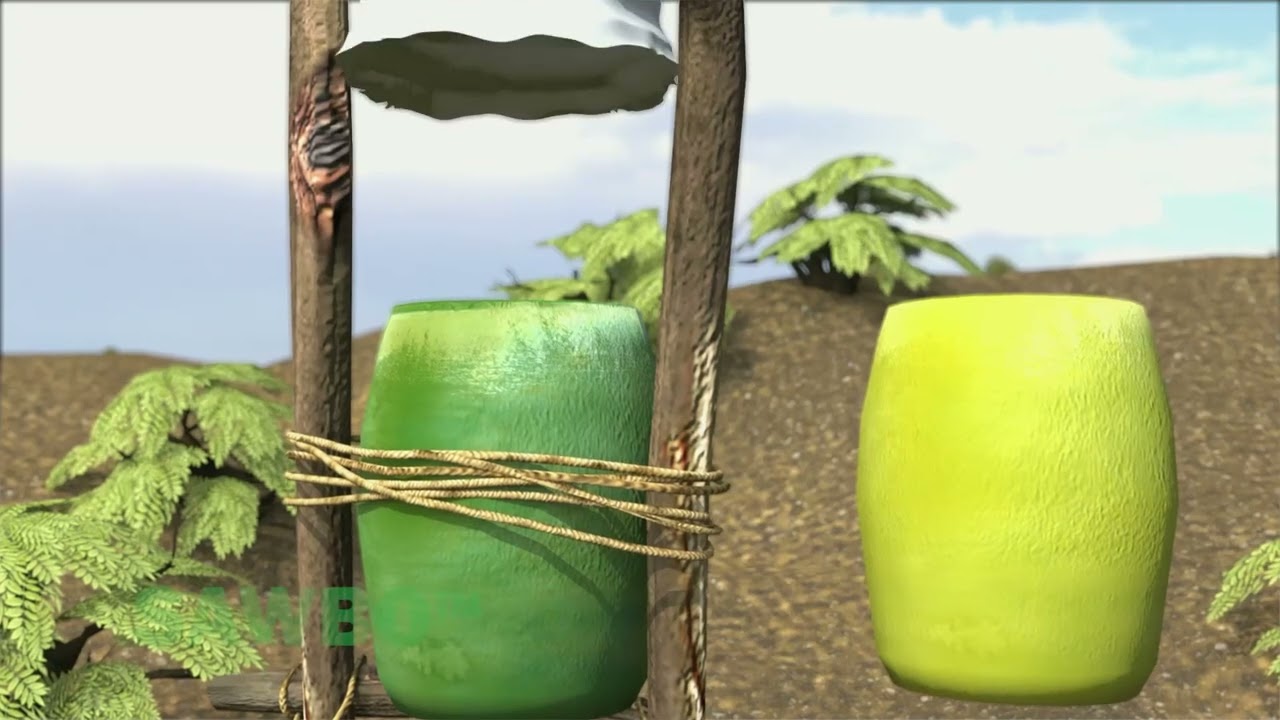 Survival Gardening: Drip Irrigation in English (Kenya)