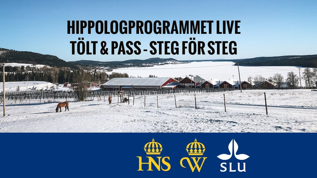 CLINIC med Hippologprogrammet: T&ouml;lt & pass &ndash; steg f&ouml;r steg