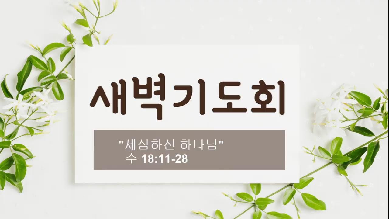 새벽예배   2026. 2. 12.   