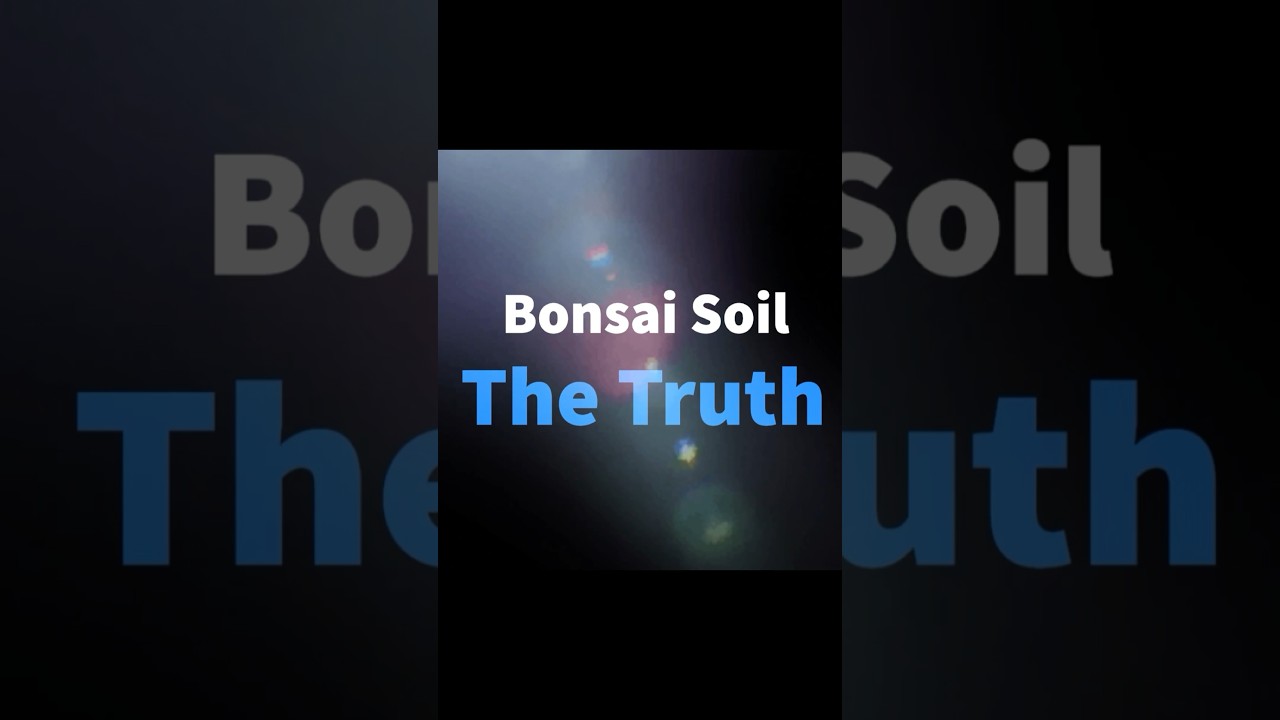 Bonsai Soil: The Truth #bonsai #bonsaisoil #bonsaicare
