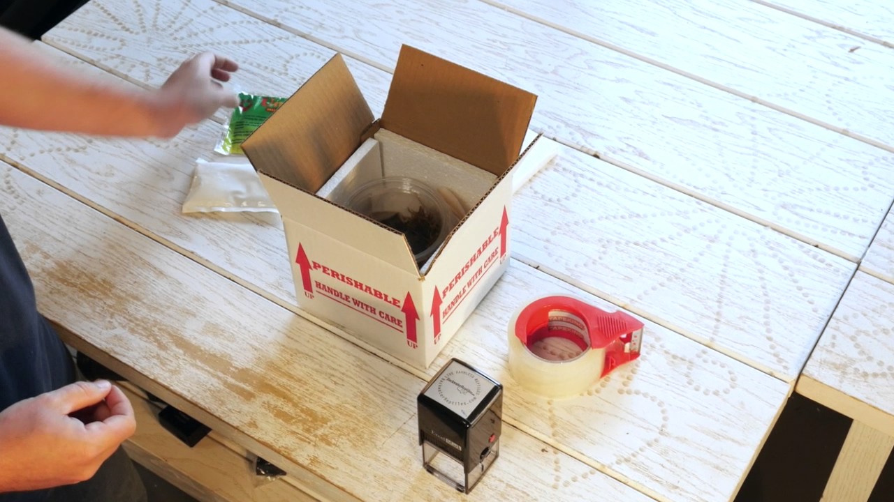 Backwater Reptiles Shipping Process