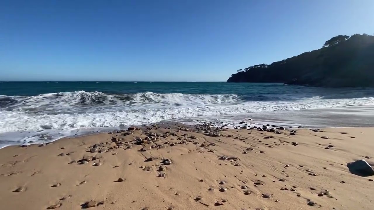 Platges de Llorell • Tossa de Mar • La Selva • Costa Brava • Abril 2024