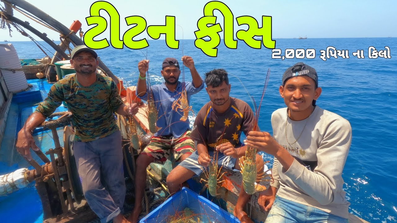 ટીટન ફીસ🦞🦞 || 2,000 રૂપિયા ના કિલો || titan fish #સમુદ્રીલુટેરા