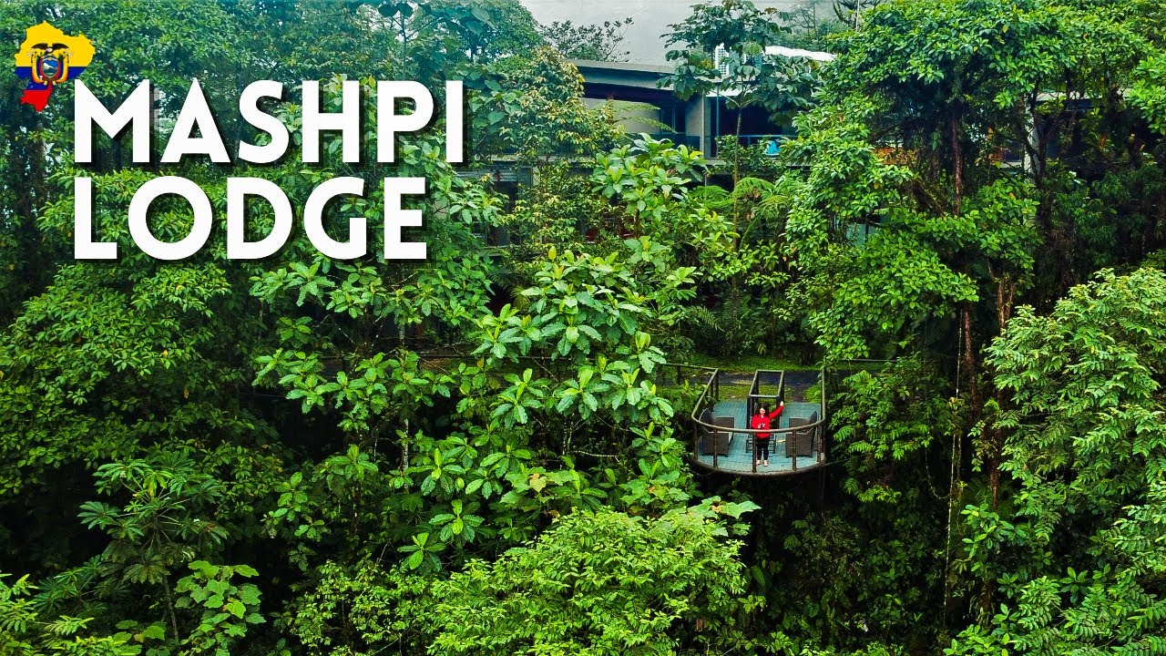 Mashpi Lodge: Ecuador Rainforest Hotel in the Clouds