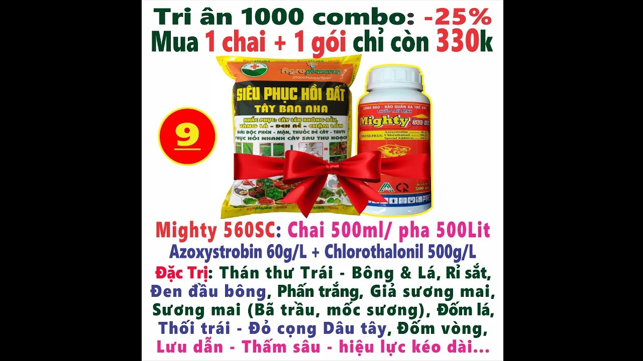 #CHNN