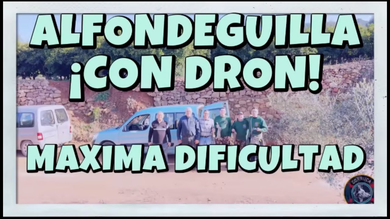 podencos cazando conejos, cuadrilla los planchados
