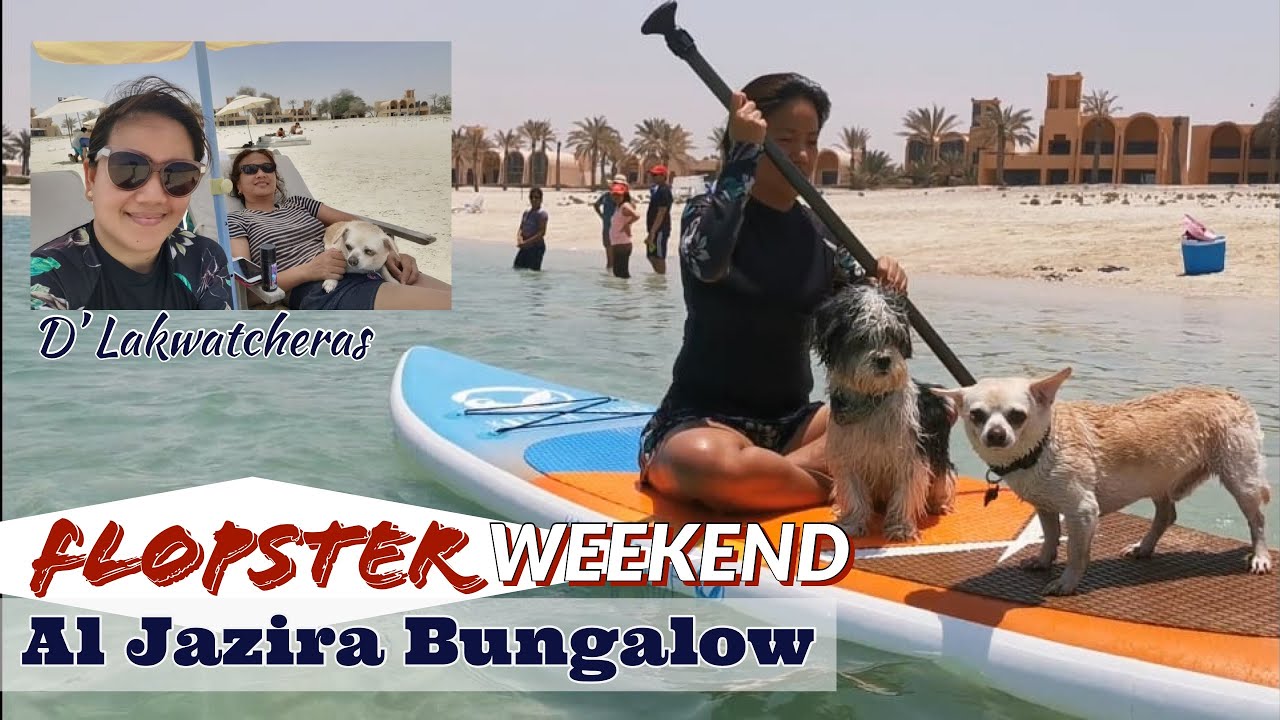 DOG FRIENDLY BEACH RESORT IN DUBAI | FLOPSTER BEACH | AL JAZIRA BUNGALOWS | DUBAI HOTEL