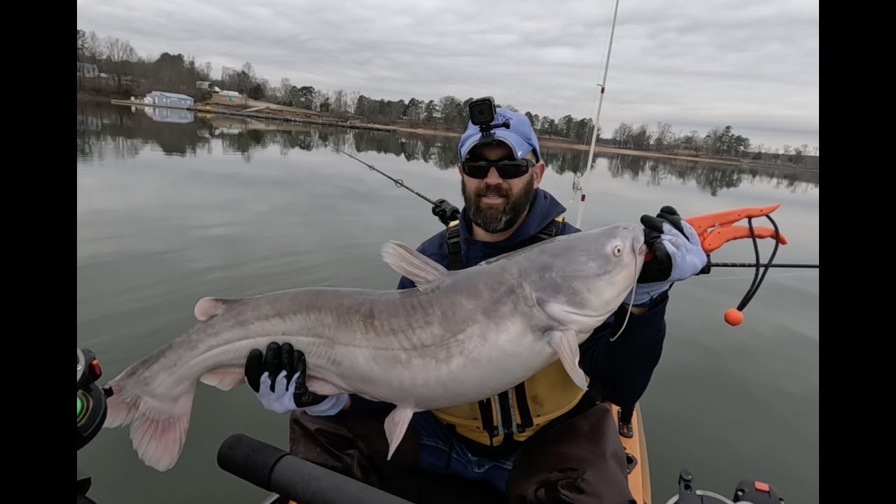 Hot Winter Catfish Bite on Kerr Lake