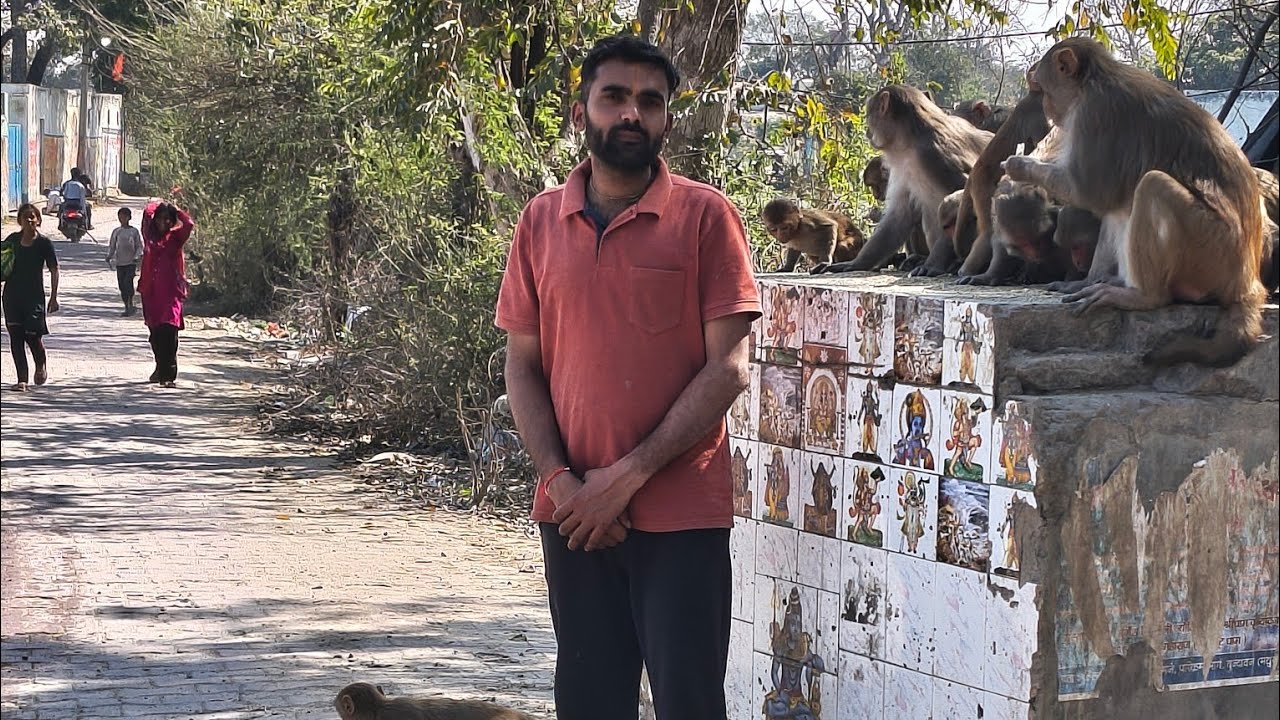 संत सेवा,Bandar seva,dog Seva, cow seva #mydailyroutine #minivlog #vrindavan #premanandji #love 