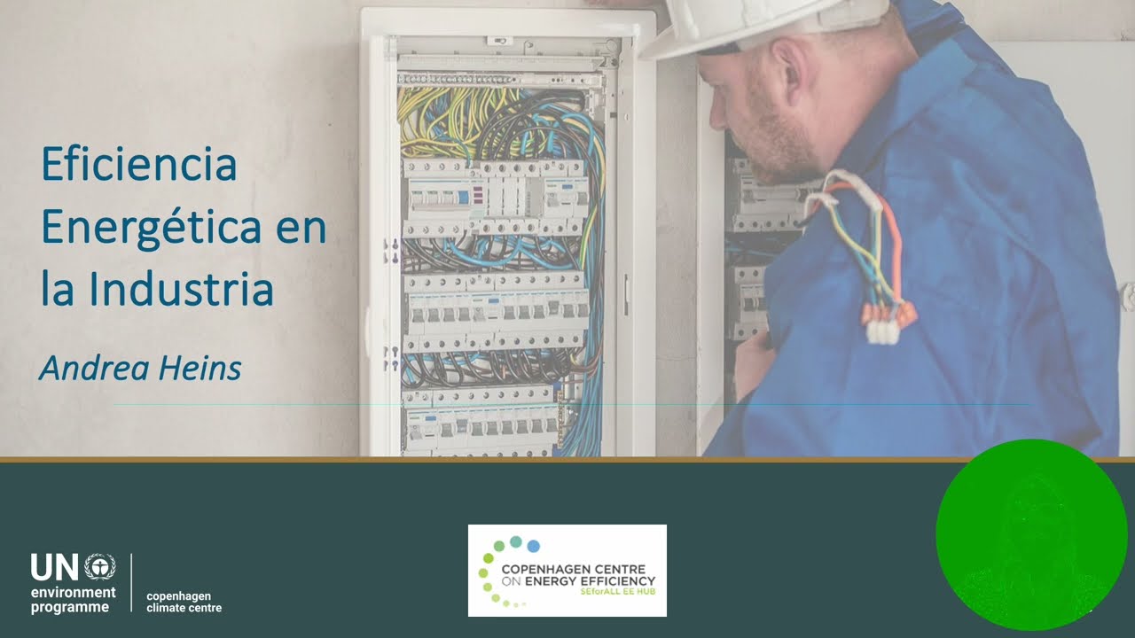 Eficiencia Energetica en la Industria