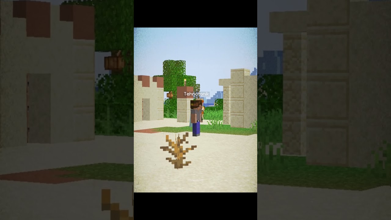 Minecraft Big Village Seed Moment
