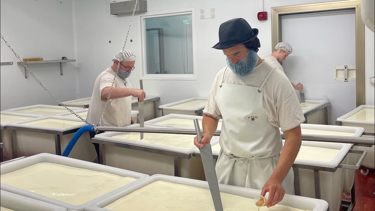Fen Farm Dairy - Episode 8 - Uncover the secret to making incredible Baron Bigod cheese!