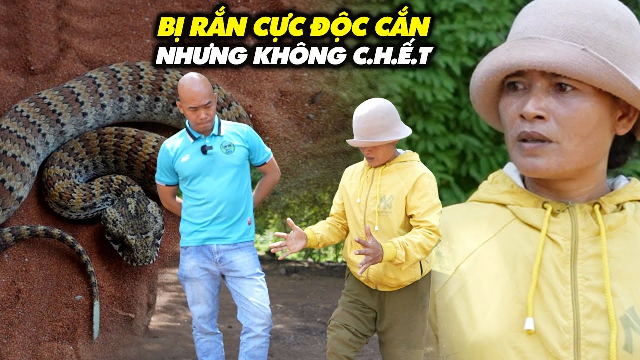 BỊ RẮN CỰC ĐỘC CẮN NHƯNG MẸ HOA HẬU MIỀN NÚI VẪN MAY MẮN SỐNG SÓT