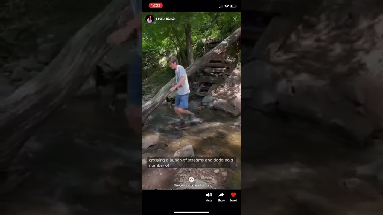 nudge video