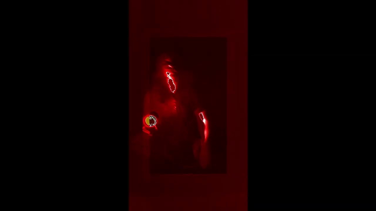 Shytoo - Angst macht dumm
