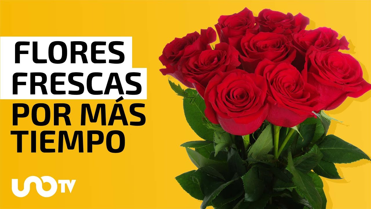 Recomendaciones para que las flores duren m&aacute;s tiempo