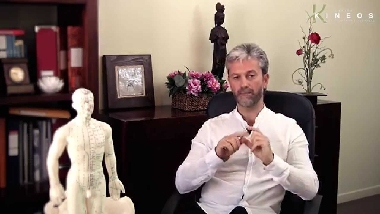 Kinesiolog&iacute;a. Bases y principios de la Kinesiolog&iacute;a Hol&iacute;stica