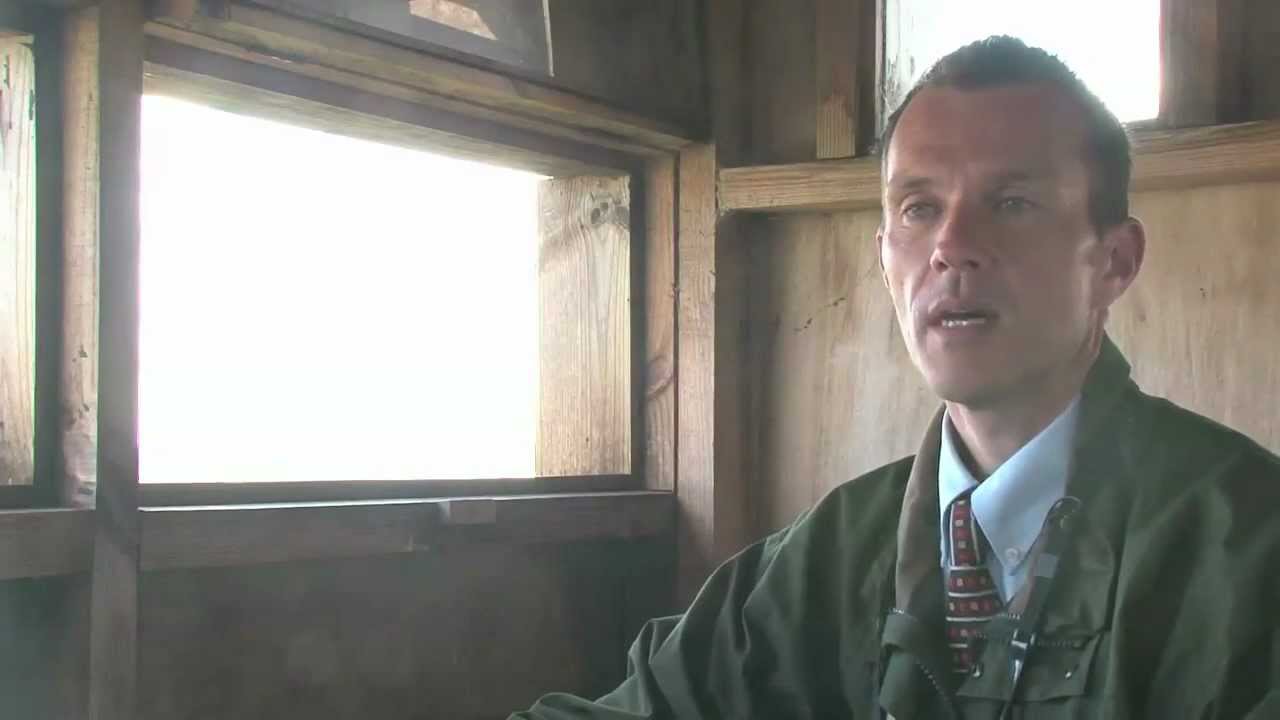 Creating new saltmarsh on the Steart Peninsula | WWT