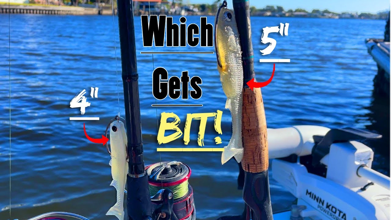 Florida Dock Fishing - 4