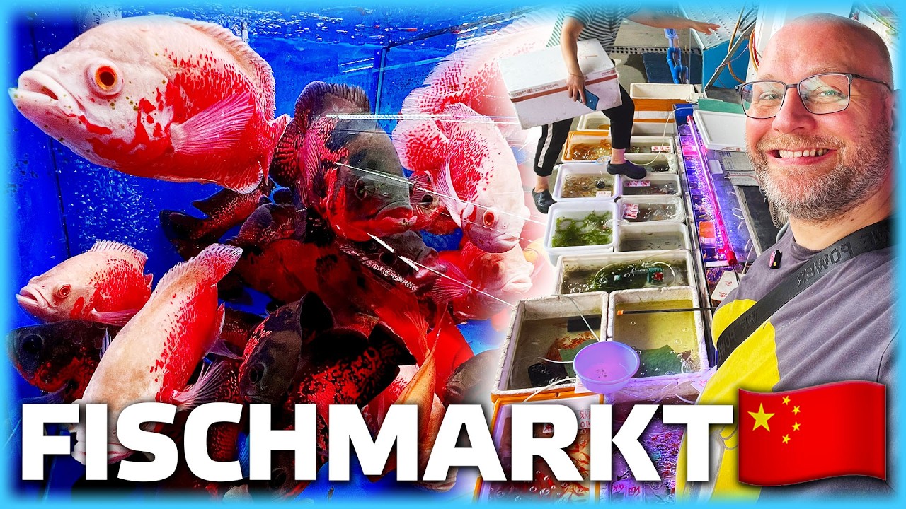 Dieser Fischmarkt toppt alles, was du je gesehen hast!