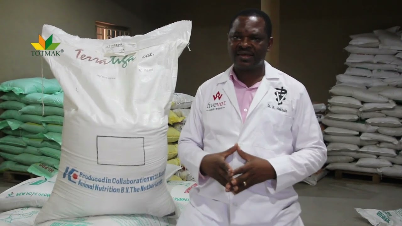 Introducing the Newly Available Turkey Feed|Understanding the Difference between Turkey&Chicken Feed