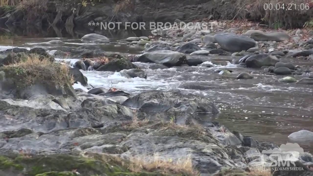 11-24-16 Pigeon Forge, TN Thanksgiving Smoke, Fall Scenes