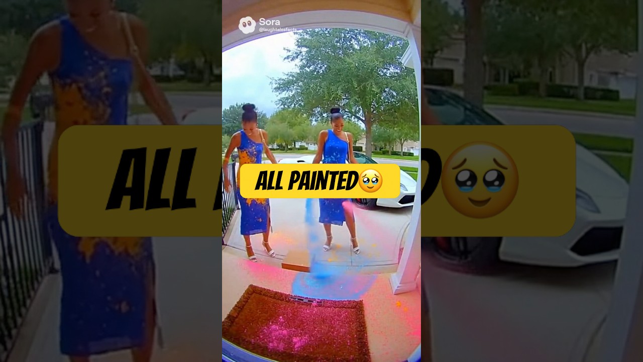 Porch pirate Compilation!