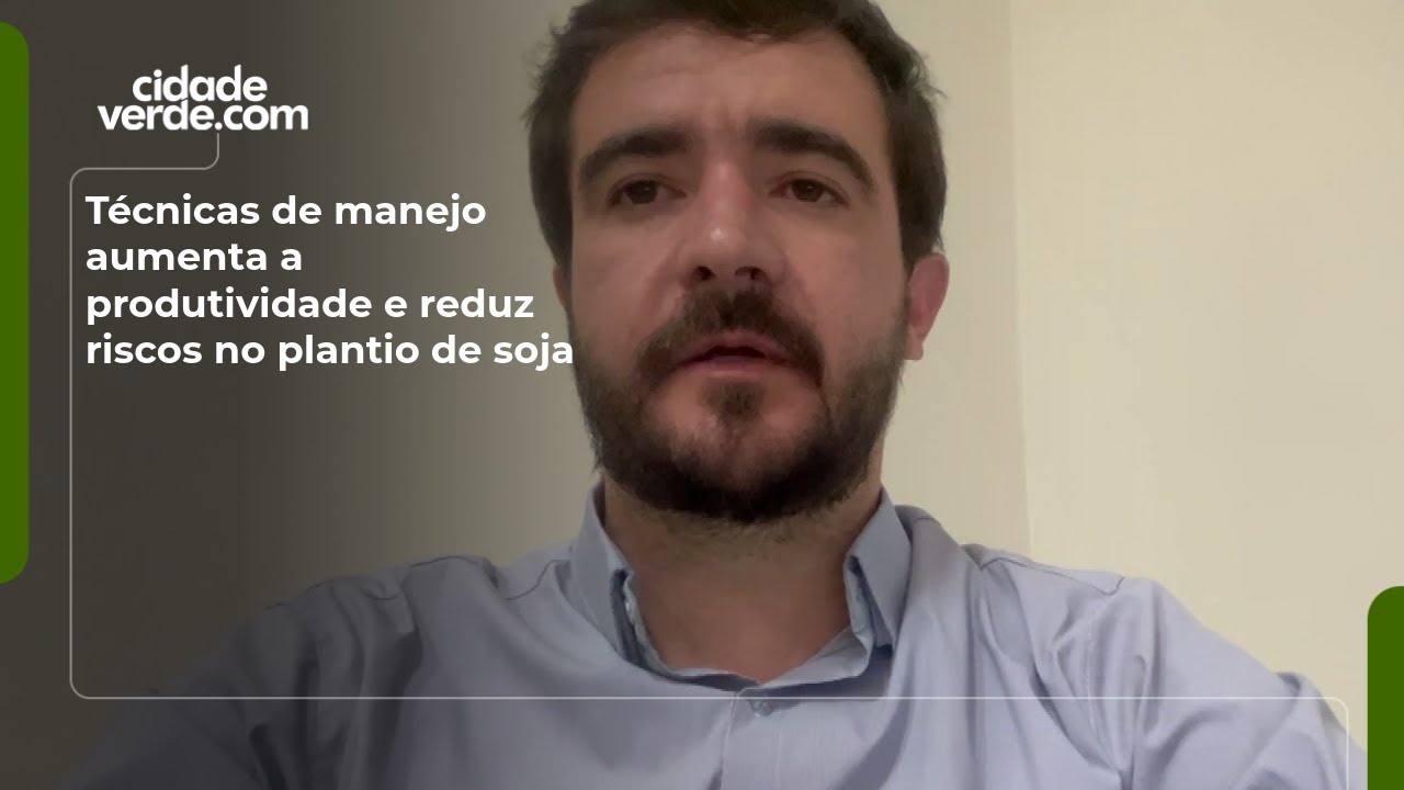 Técnicas de manejo aumenta a produtividade e reduz riscos no plantio de soja