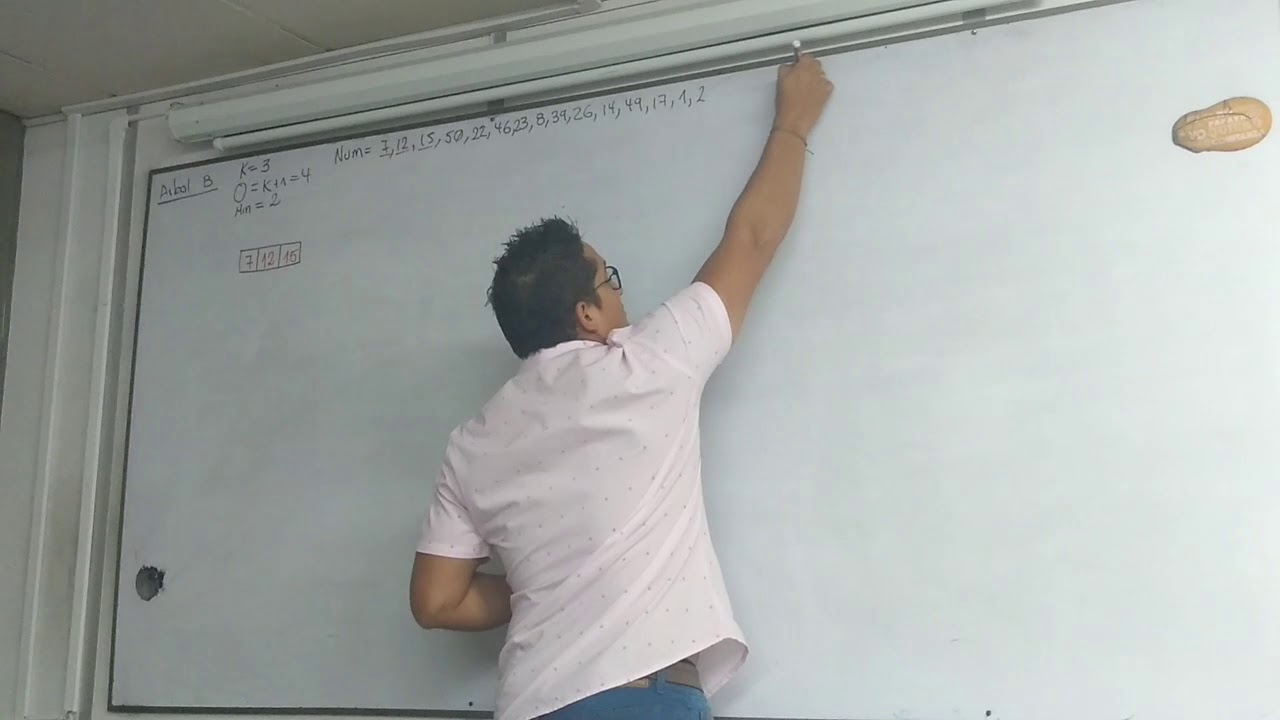 Arbol B - Inserción y Eliminación
