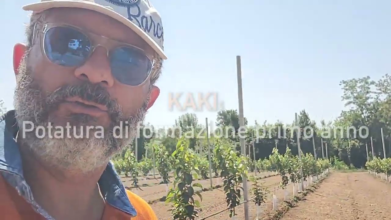KAKI - POTATURA DI FORMAZIONE PRIMO ANNO