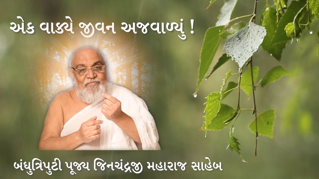 એક વાક્યે જીવન અજવાળ્યું | Life Lessons | Bandhutriputi Pujya Jinchandraji Maharaj Saheb