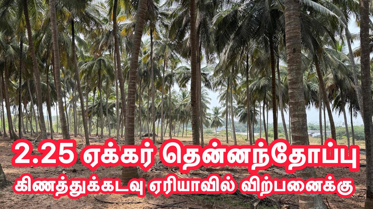 2.25 ஏக்கர் தென்னந்தோப்பு கிணத்துக்கடவு ஏரியாவில் விற்பனைக்கு 