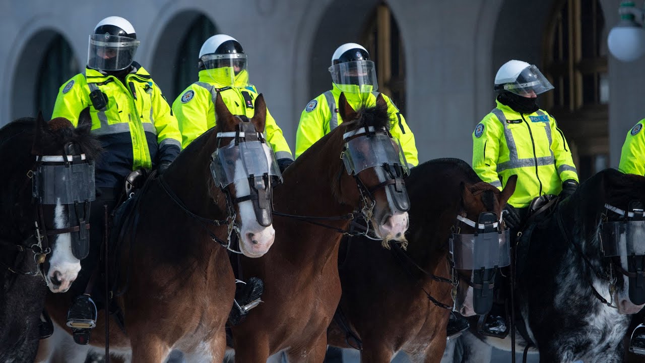 SIU investigating use of horses, non-lethal rounds at Ottawa protest clearing