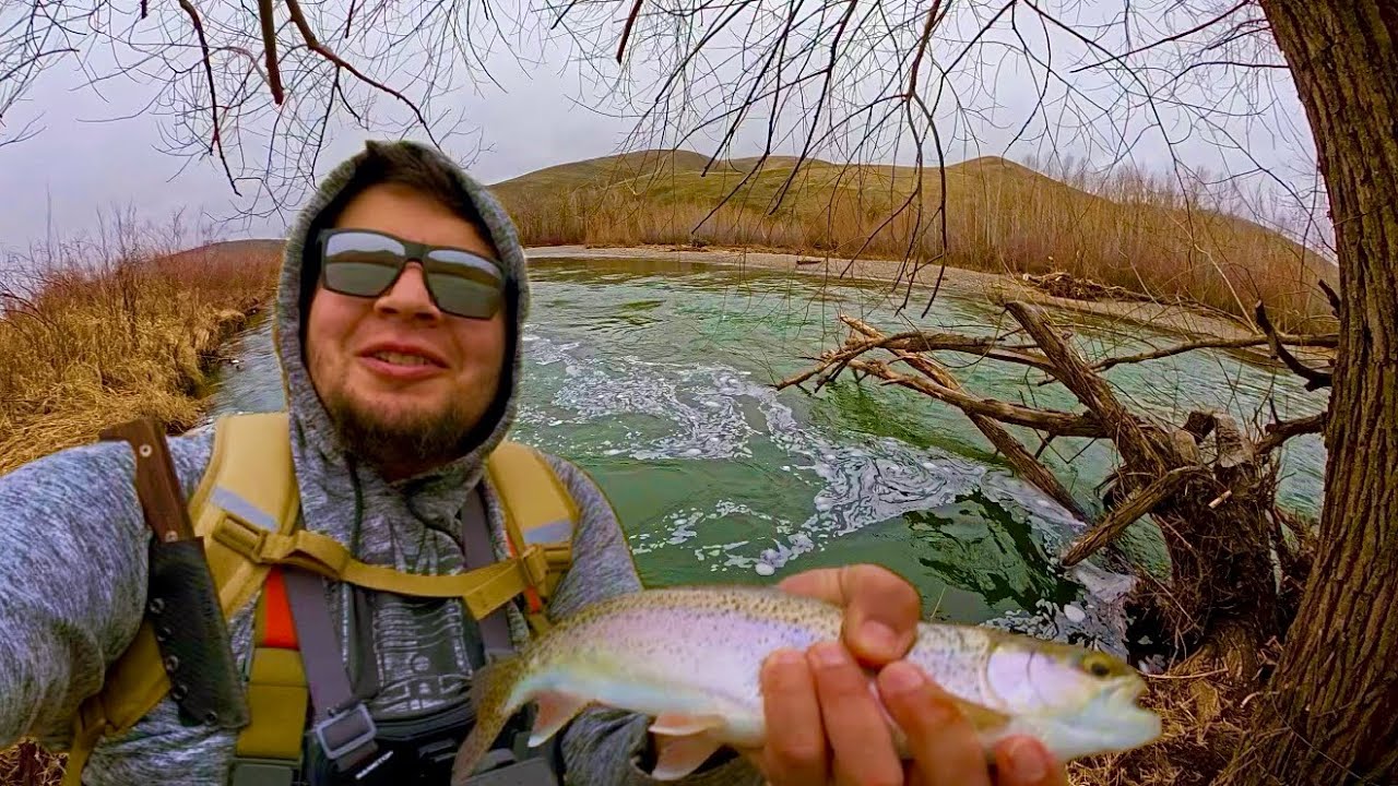 Catch n’ Release | BLUE RIBBON stream 🌲