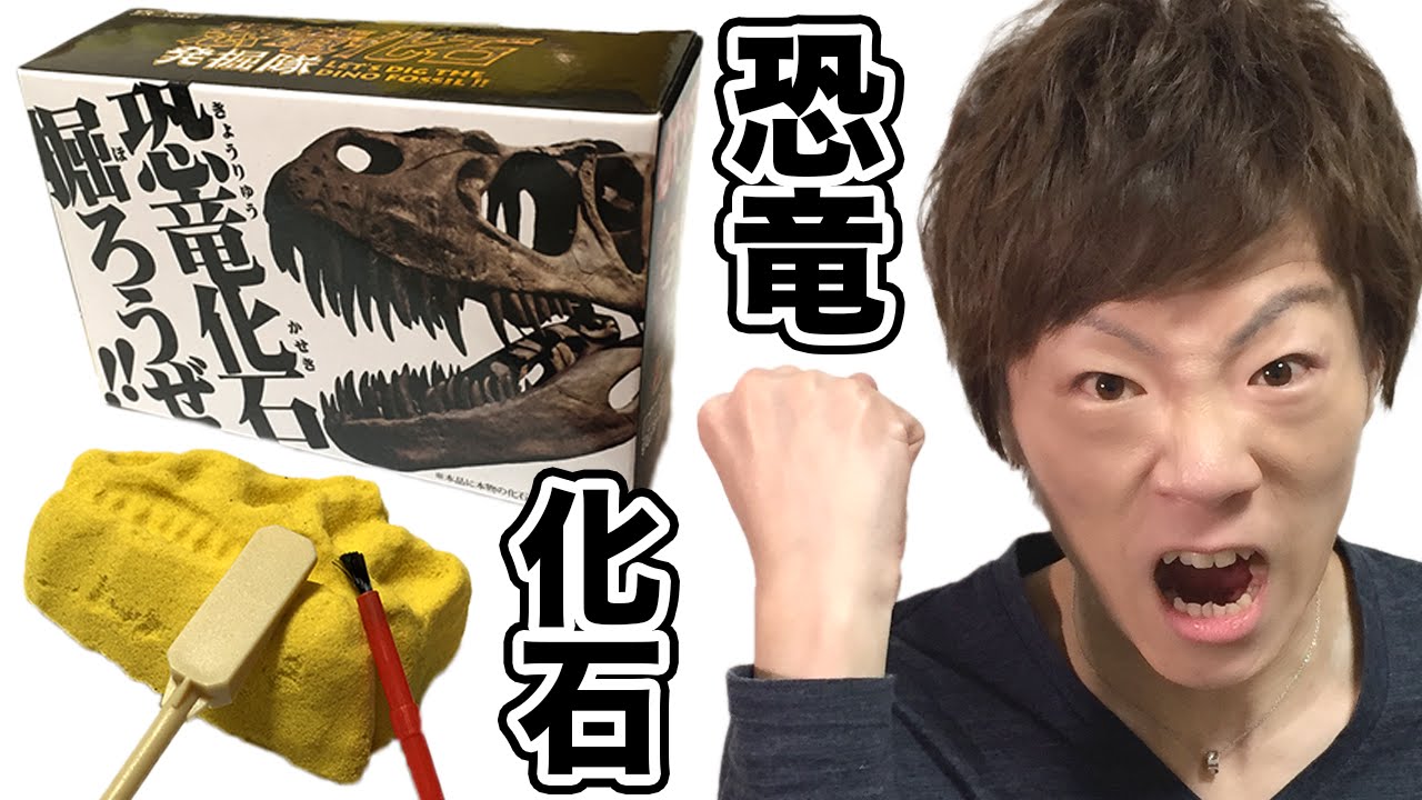 恐竜の化石掘ってみた！！