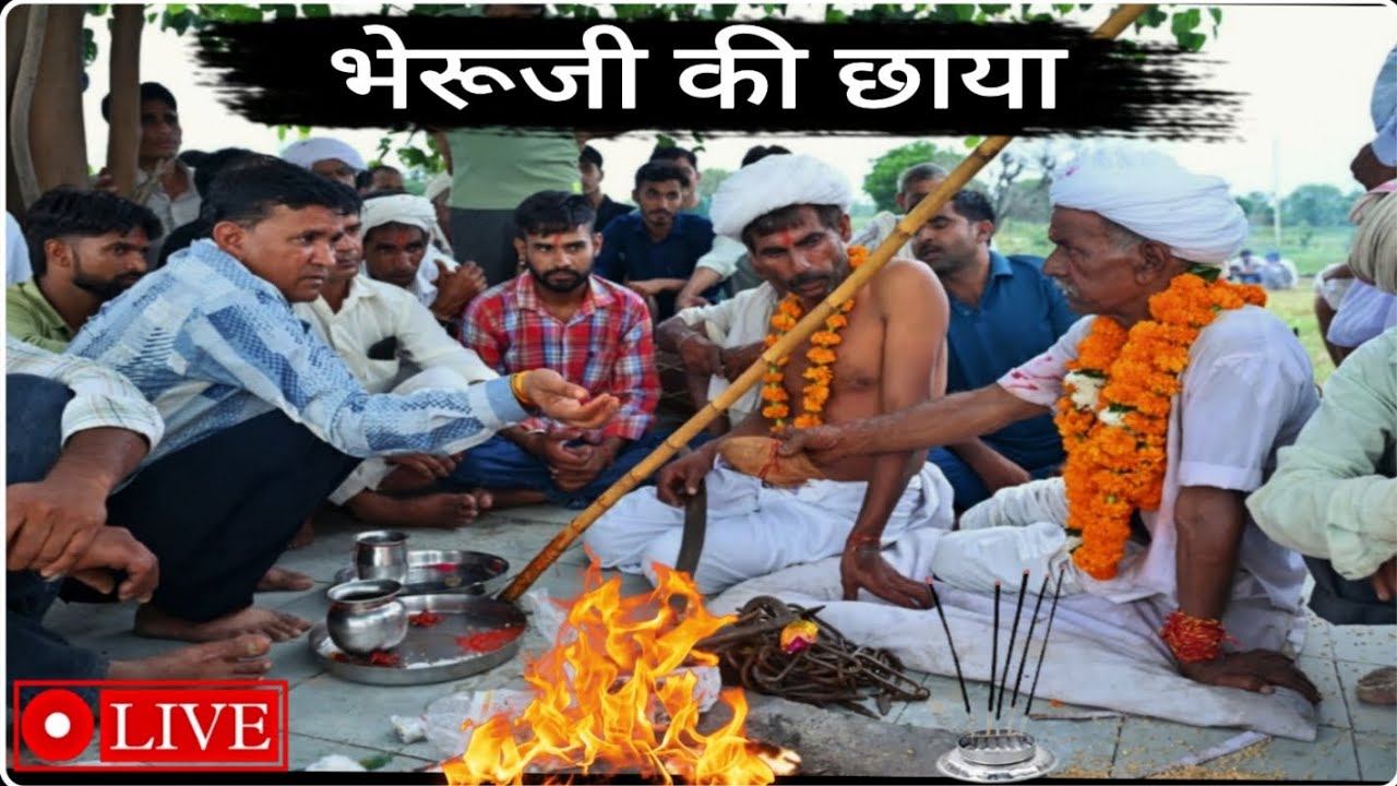 भेरूजी की छाया || Tejaji #algoja  Song || Rajasthani Bhajan 